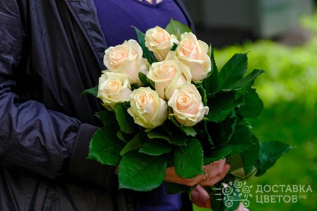 Букет из 7 кремовых роз "Талея"